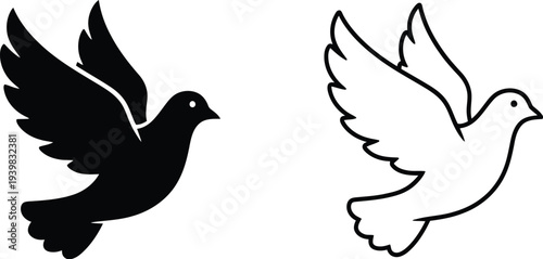 Dove flying bird silhouette and outline isolated on transparent background, Vector
