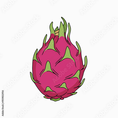 A vibrant illustration of a whole dragon fruit, featuring its bright pink skin with green scales, set against a clean white background.