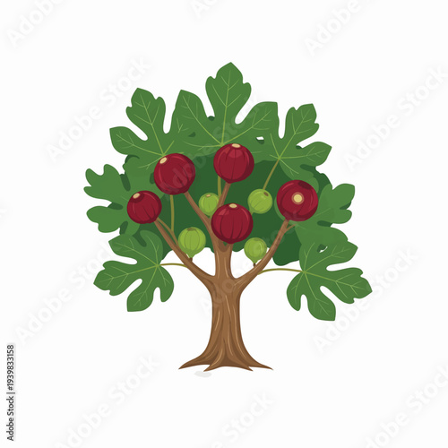 Stylized illustration of a fig tree featuring a brown trunk, green lobed leaves, and both ripe red and unripe green figs on a white background.
