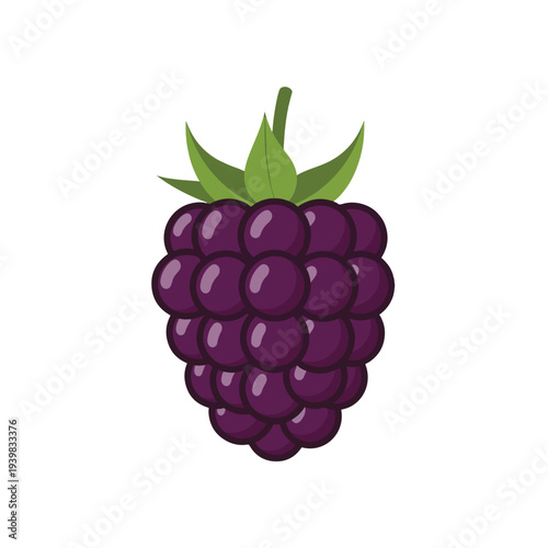 A simple, flat design illustration of a single ripe blackberry with dark purple drupelets and small green leaves on top, set against a white background.