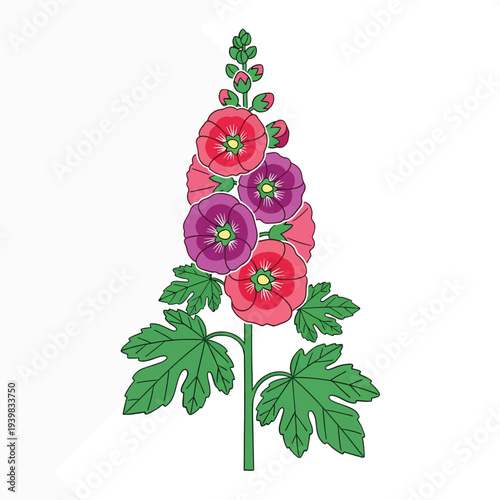 Vibrant vector illustration of a hollyhock plant with pink and purple flowers, green buds, and large green leaves on a white background.