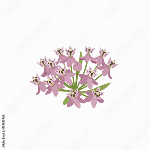 A flat vector illustration of a cluster of light pink-purple flowers with dark centers, resembling milkweed, isolated on a white background.