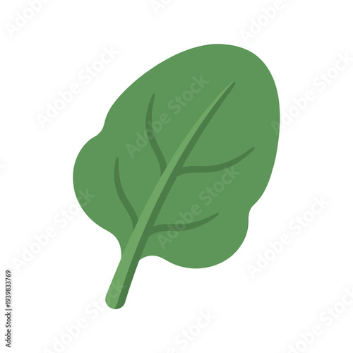 A simple, flat illustration of a single green spinach leaf with a visible central vein, presented on a white background.