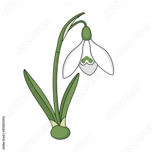A charming cartoon illustration of a single white snowdrop flower with green accents, set against a white background.