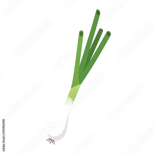 An illustration of a single vibrant green onion (scallion) with long green stalks, a white bulb, and small brown roots, set against a plain white background.