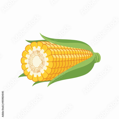A halved ear of corn, showing its bright yellow kernels and white cob, encased in green husks.