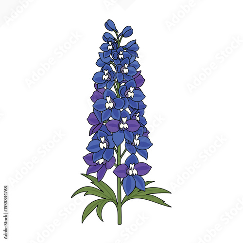 A tall stalk of vibrant blue and purple delphinium flowers with green leaves, set against a white background.