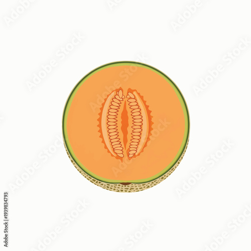 A top-down, flat illustration of a cantaloupe melon, cut in half to reveal the vibrant orange flesh and central seed cavity.