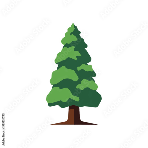 A simple, stylized illustration of a conical green pine tree with a brown trunk and roots, set against a white background.