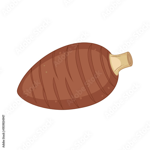 A cartoon illustration of a brown taro root with vertical lines and a light brown stem on the right.