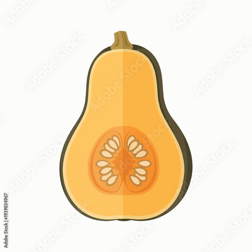 A halved butternut squash with its seeds visible inside, set against a white background.