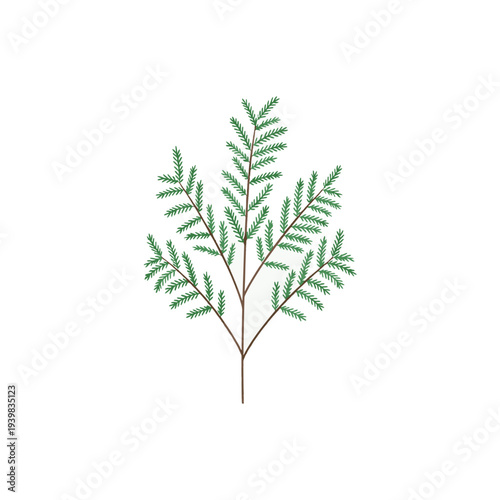 A stylized illustration of a green pine or fir branch with needles on a white background.