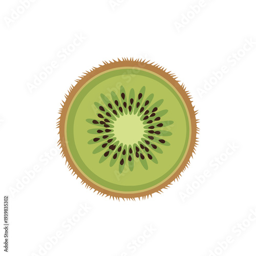 A close-up, top-down illustration of a single, sliced kiwi fruit, showcasing its vibrant green flesh, black seeds, and fuzzy brown rind.