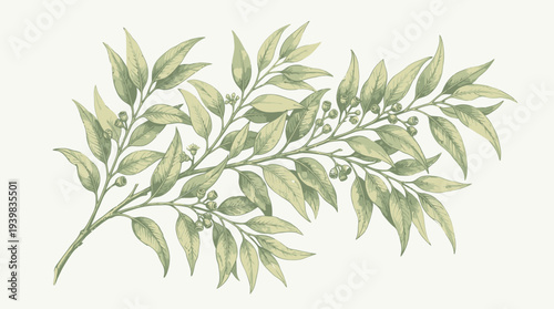 Watercolor painting of a green leafy branch with delicate leaves.