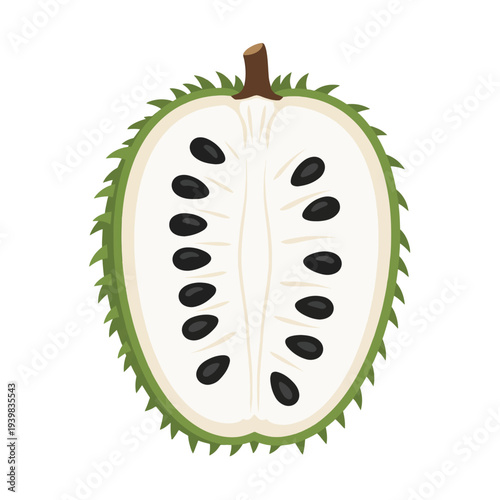 A vibrant, cutaway illustration of a soursop fruit, showcasing its creamy white flesh dotted with numerous black seeds, all enclosed by a spiky green rind.