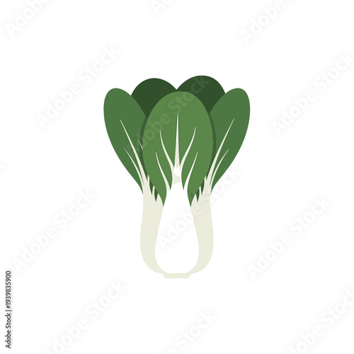 A cartoon-style illustration of a single bok choy vegetable with dark green leaves and thick white stalks, set against a clean white background.