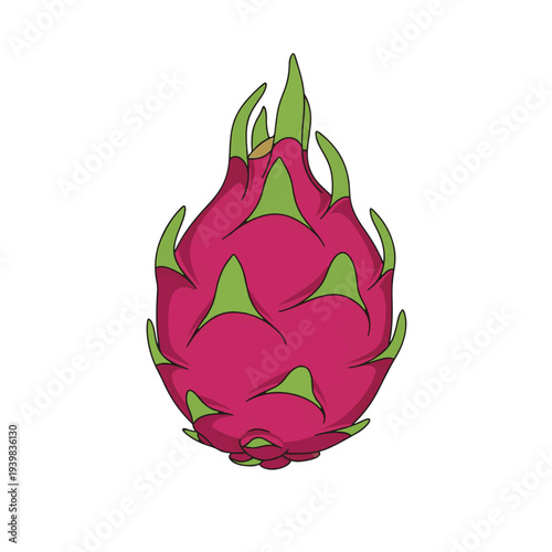 A vibrant illustration of a whole dragon fruit with bright pink skin and green scales, centered against a clean white background.