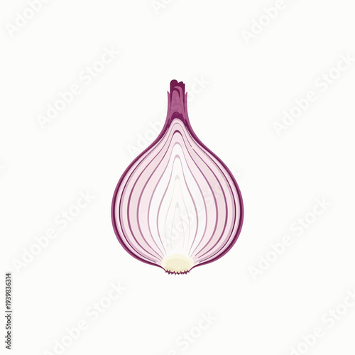 A vibrant vector illustration of a red onion cut in half, revealing its concentric purple and white layers, isolated on a clean white background.