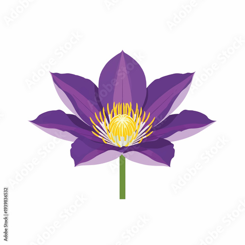 A vibrant vector illustration of a purple clematis flower with bright yellow stamens and a green stem, isolated on a clean white background.