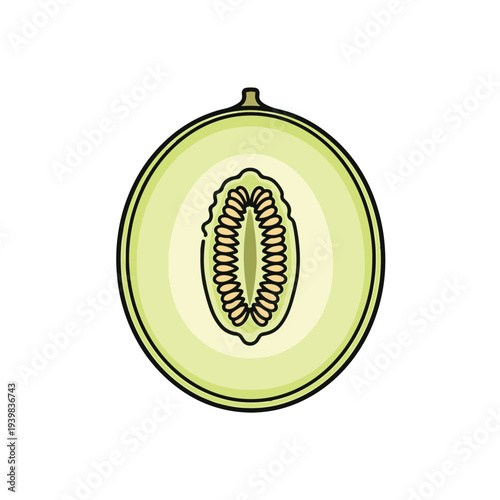A simple, top-down vector illustration of a halved melon, showcasing its light green flesh and a central cavity filled with numerous light brown seeds.
