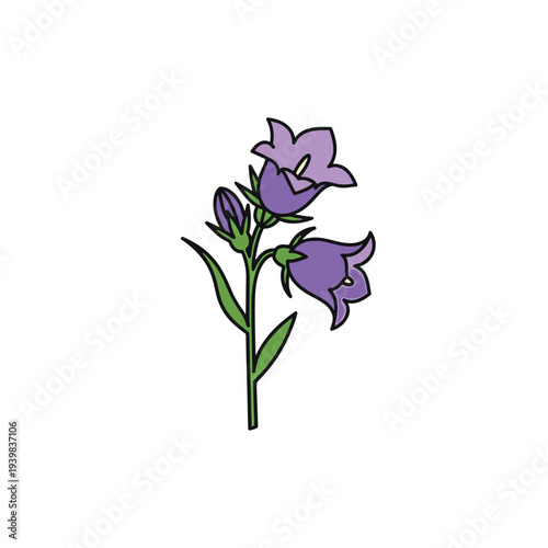 A stylized illustration of a bellflower plant with purple bell-shaped flowers and green leaves on a white background.