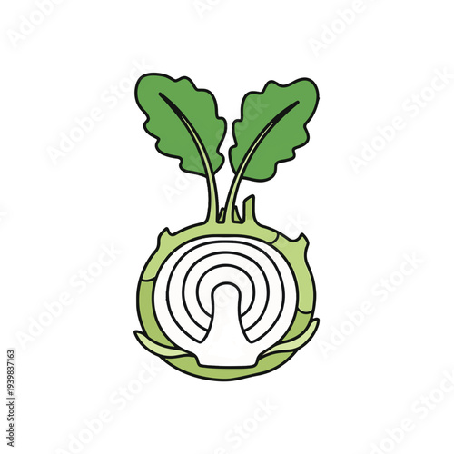 A stylized cross-section of a kohlrabi vegetable, showing concentric rings and two green leaves sprouting from the top.