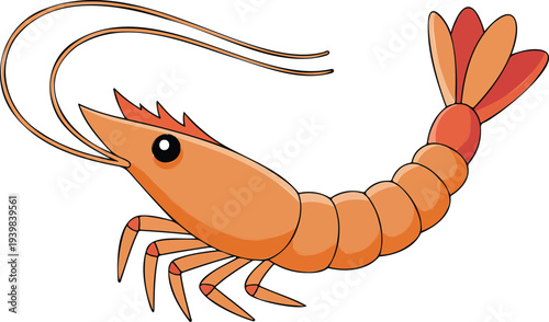 Minimal cartoon shrimp illustration with segmented body antennae and tail fin simple seafood icon isolated on white