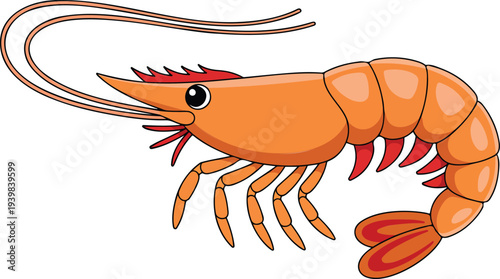 Minimal cartoon shrimp illustration with segmented body antennae and tail fin simple seafood icon isolated on white