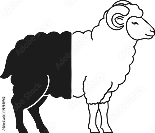 Black and white split ram sheep contrasting halves isolated on transparent background, Vector