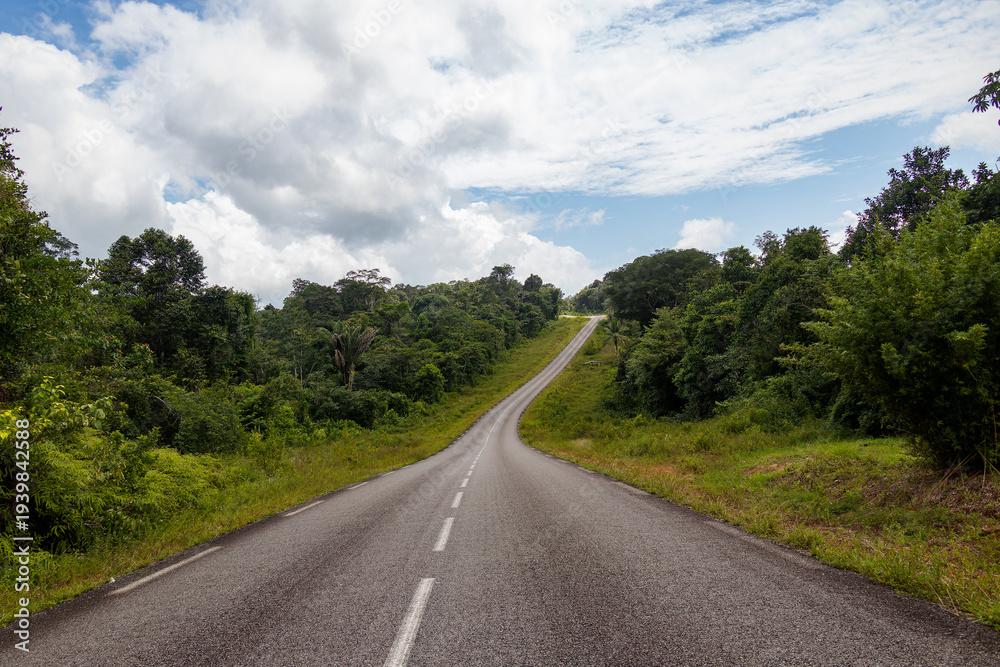Fototapeta premium Long asphalt road stretching through the dense tropical rainforest of French Guiana under a cloudy sky, symbol of adventure and remote travel.