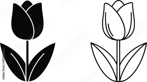Tulip flower line art black and white isolated on transparent background, Vector
