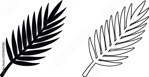 Black and white fern leaf illustration isolated on transparent background, Vector