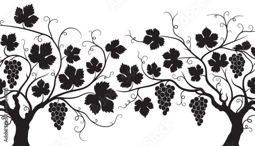 Vineyard grapevine border vector illustration with clusters of grapes and curly vines for winery