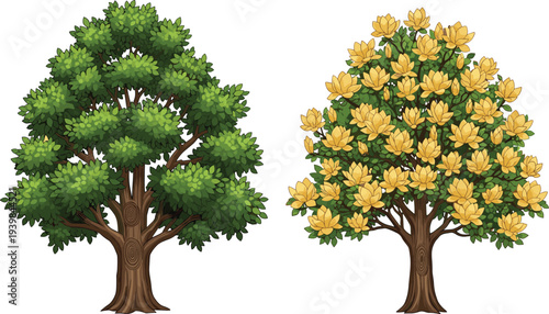 Detailed green leafy tree and yellow flowering tree illustration isolated on white background, botanical nature elements for garden, landscape, ecology and environment design