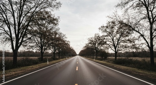 An empty road stretches between trees, vanishing into the horizon under a cloudy sky