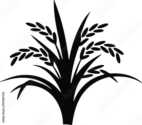 Rice plant silhouette with grains and leaves isolated on white background, agricultural crop illustration symbolizing farming, harvest season and organic food production