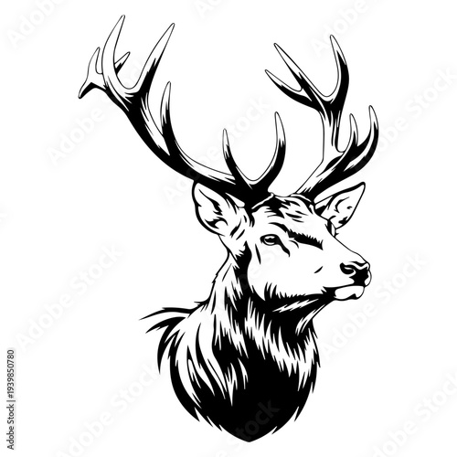  Majestic Deer Portrait: A striking monochrome illustration showcases the regal presence of a deer, its impressive antlers and dignified gaze commanding attention.