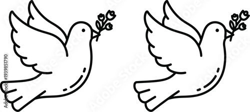 Two white doves with olive branches isolated on transparent background, Vector