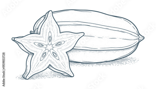Star fruit vector illustration carambola whole and sliced hand drawn exotic fruit design