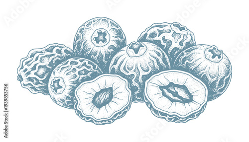 Blueberries with intricate pattern, detailed illustration for culinary projects, food design, vector
