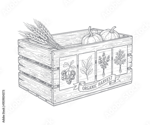 Wooden crate filled with organic harvest vegetables and farm produce line art vector illustration
