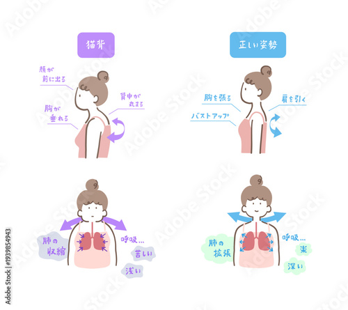 猫背で肺が収縮した女性と正しい姿勢で肺が広がった女性の比較イラストセット