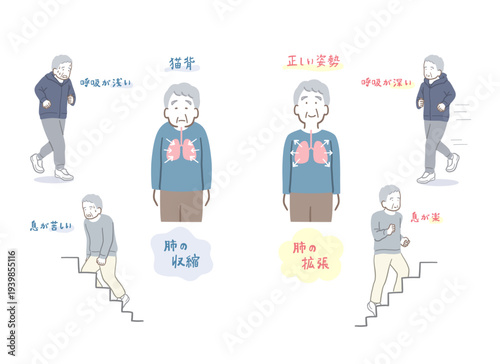 猫背で肺が収縮した高齢男性と正しい姿勢で肺が拡張した高齢男性の比較イラストセット