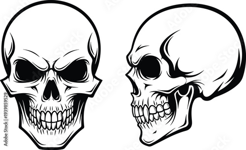 Human skull vector illustration featuring front and side profile views in black and white gothic tattoo art style for streetwear