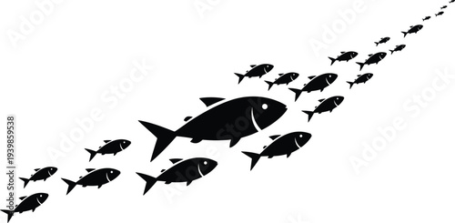 Black silhouette of a school of fish swimming in one direction with a large leader fish for leadership concepts vector