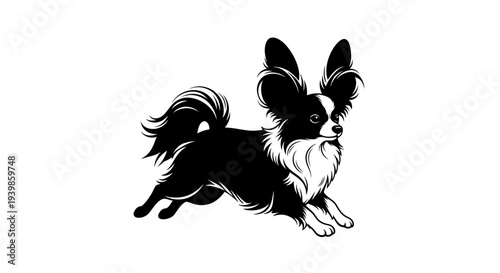 Playful Papillon Silhouette with Butterfly Ears Leaping with Joy