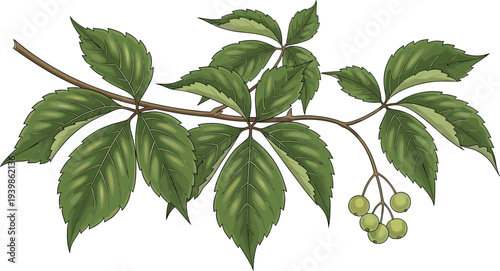 Black silhouette map of Puerto Rico including Vieques and Culebra islands isolated on white background for geographical vector design projects