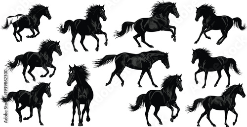 Black horse silhouettes set in dynamic running and standing poses, powerful stallion movement collection, equestrian sport, freedom, strength, and nature concept isolated on white background