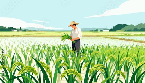 Farmer stands tall in golden rice field. Hands hold fresh harvest, proud and quiet. Sunlight bathes green stalks, gentle and warm. Sky soft blue, clouds drifting above