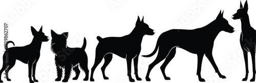 Large group of diverse people silhouettes dancing and celebrating at a party music festival or concert event on white background.